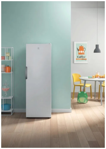 Морозильная камера Indesit DFZ 5175 E