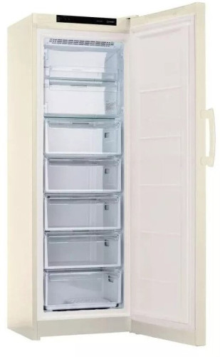Морозильная камера Indesit DFZ 5175 E