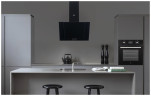 Кухонная вытяжка MBS Fatsia 160 Glass Black