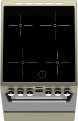Электрическая плита Darina PL EC241 616 1X
