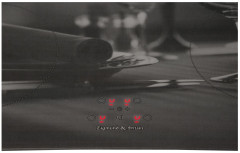 Индукционная варочная панель Zigmund&amp;Shtain CIS 219.60 DX