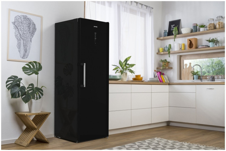 Морозильная камера Gorenje FN619EABK6