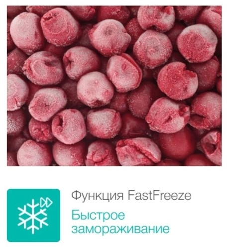 Встраиваемая морозильная камера Gorenje FIU6092AW