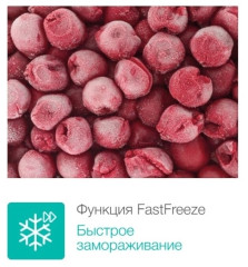 Встраиваемая морозильная камера Gorenje FIU6092AW