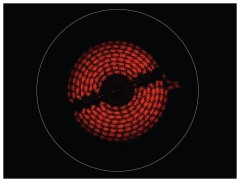 Электрическая варочная панель Electrolux EHF 6232 FOK
