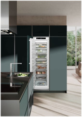 Морозильная камера Liebherr SIFNf5128