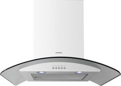 Кухонная вытяжка Darina Roof 604 X