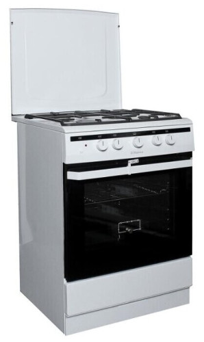 Газовая плита Hansa FCGW 63020G