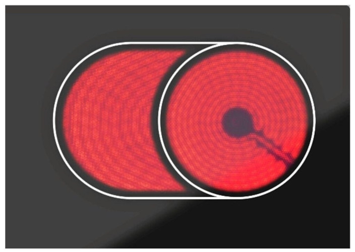 Электрическая варочная панель Darina 4P E329 B