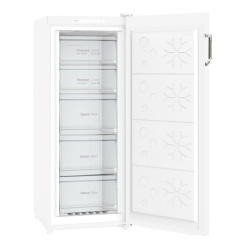 Морозильная камера Zarget ZF192NFW