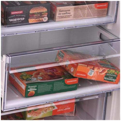 Морозильная камера Beko RFNK290T21XBR