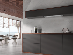 Встраиваемая вытяжка Miele DAS 8930 Stainless steel, нержавеющая сталь