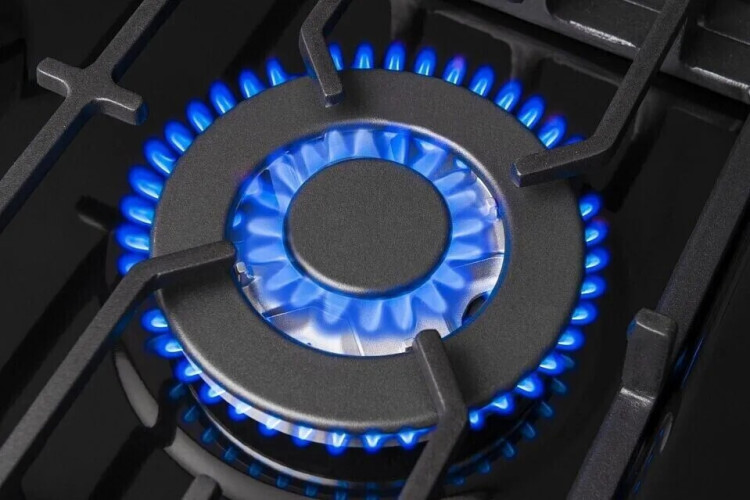 Газовая варочная панель Hansa BHGS611839