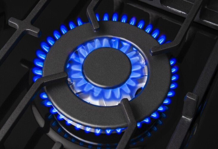 Газовая варочная панель Hansa BHGS 651550