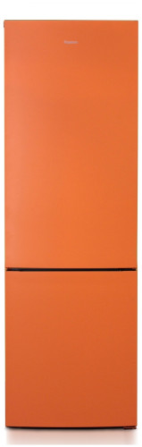 Холодильник Бирюса T6027