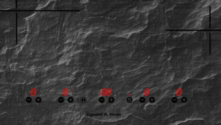 Индукционная варочная панель Zigmund & Shtain CIS 239.60 BX