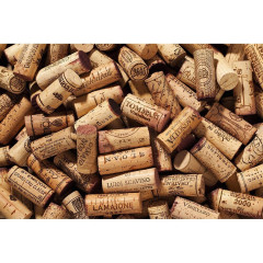 Встраиваемый винный шкаф Kuppersbusch FWK 2852.0 S