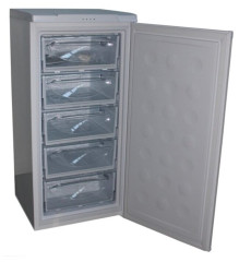 Морозильная камера DON R 105 B