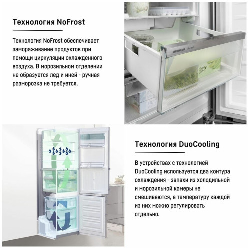 Холодильник Liebherr CBND 5223