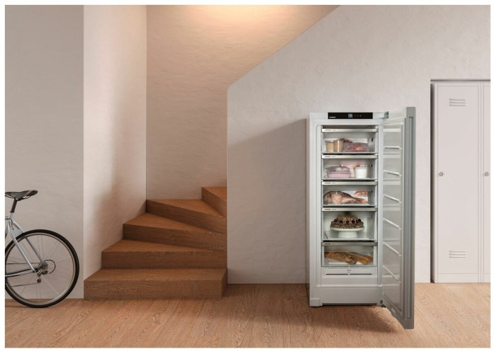 Морозильная камера Liebherr FNf 4605 20 001