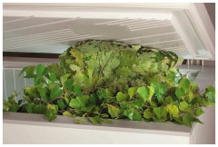 Морозильный ларь POZIS FH 250 1