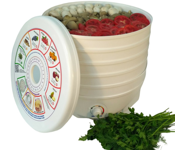 Сушилка для овощей Renova DVN37-500/5 белый