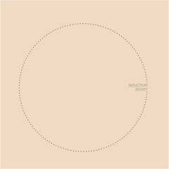 Индукционная варочная панель Lex EVI 640-1 IV