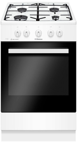 Газовая плита Hansa FCGW510009H