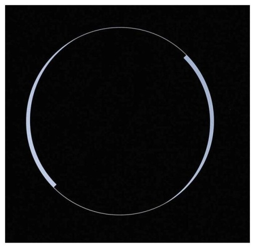 Электрическая варочная панель Weissgauff HV 640 BK