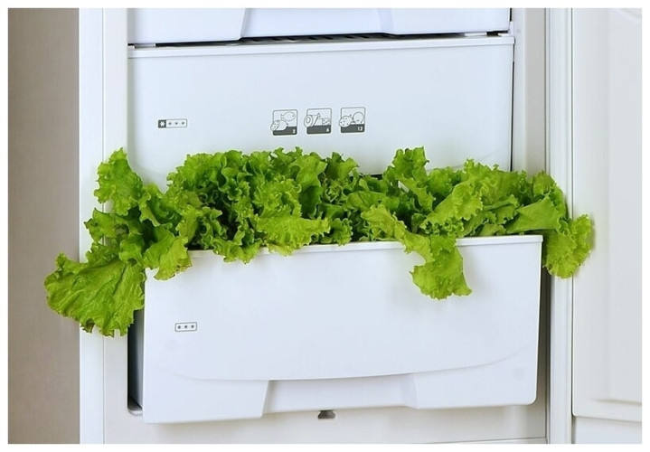 Холодильник Pozis RK-149 рубиновый