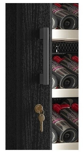 Винный шкаф Meyvel MV66 WB1 M