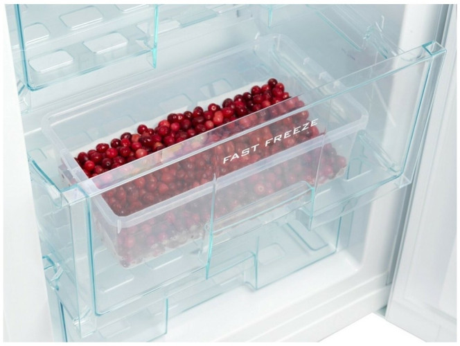 Холодильник Snaige RF34SM S0002E