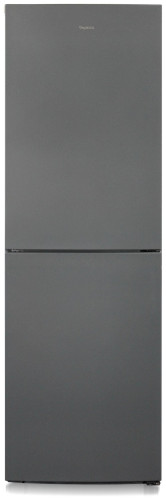 Холодильник Бирюса W6031