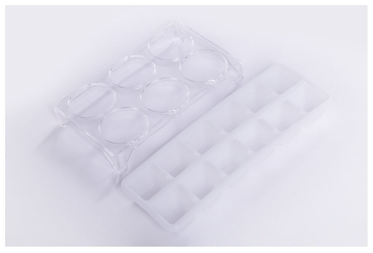 Встраиваемый холодильник Weissgauff WRKI 195 WNF