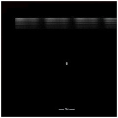 Индукционная варочная панель Krona ETERNO 60 BL