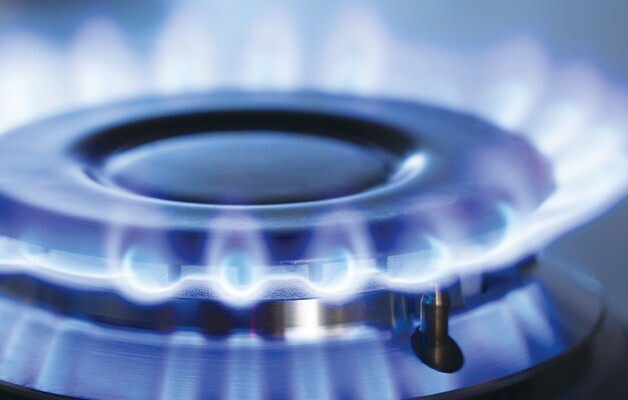 Газовая плита Artel Apetito 02-G коричневый