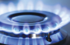 Газовая плита Artel Apetito 02-G коричневый