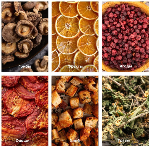 Сушилка для овощей и фруктов Kitfort КТ-1919