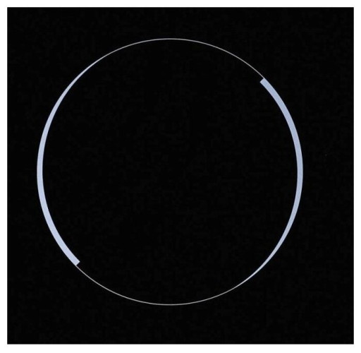 Электрическая варочная панель Weissgauff HVF 643 BS