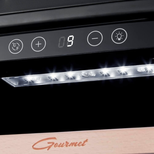 Винный шкаф Libhof GZ 21